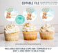 EDITABLE Teddy bear baby shower Cupcake Toppers