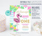 EDITABLE Flamingo Birthday Invitation