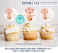EDITABLE Teddy bear baby shower Cupcake Toppers, BoyBaby Shower Decorations, Birthday Cake toppers Instant Digital download Printable