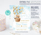 Editable Teddy Bear Baby Shower Invitation